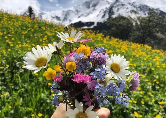 登格兰德豪斯旅馆 盖洛斯