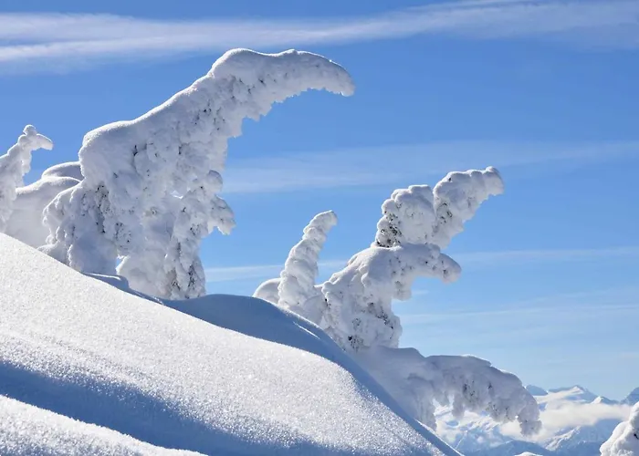 登格兰德豪斯旅馆 4*