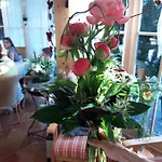Hotel Dengg